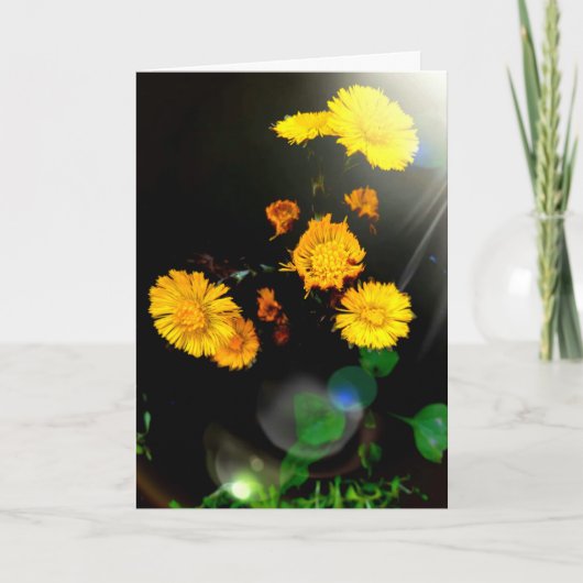 Wilde Blume im Sonnenschein Karte (Vorderseite)