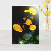 Wilde Blume im Sonnenschein Karte (Gelbe Blume)