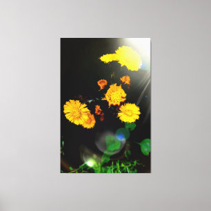Wilde Blume im Sonnenschein Leinwanddruck