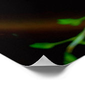 Wilde Blume im Sonnenschein Poster (Ecke)