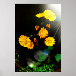 Wilde Blume im Sonnenschein Poster