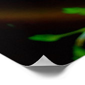 Wilde Blume im Sonnenschein Poster (Ecke)
