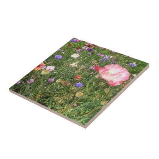 Wilde Blume Keramik Tile Fliese (Seite)