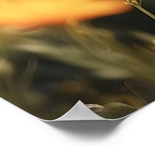 *~* Wilde Blume Kitty 5:4 Sky Kitten Cat AP68 Poster (Ecke)