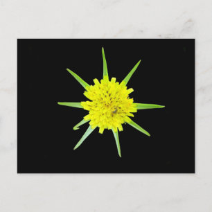 Wilde Blume Kleinere Ziegen Postkarte