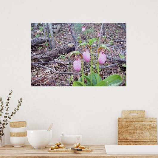 Wilde Blume Lady Slippers Poster (Küche)