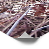 Wilde Blume Lady Slippers Poster (Ecke)