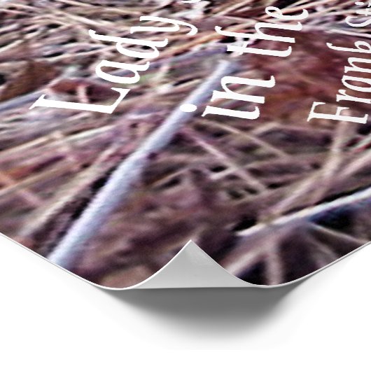 Wilde Blume Lady Slippers Poster (Ecke)