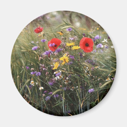 Wilde Blume Magnet (Vorne)