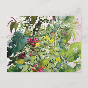 Wilde Blume mit Comfrey und Campion Postkarte