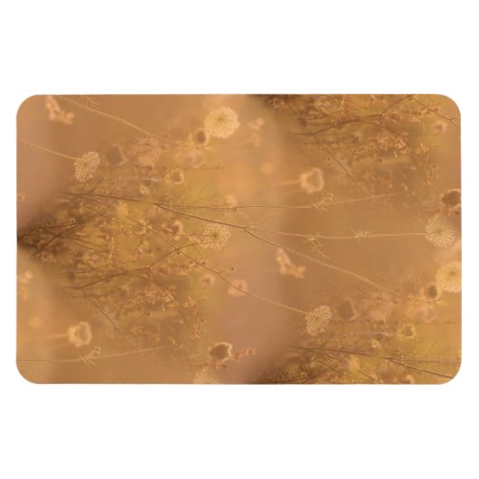 Wilde Blume mit Orange Glow Magnet (Horizontal)