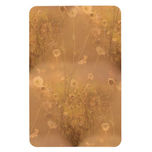 Wilde Blume mit Orange Glow Magnet (Vertikal)