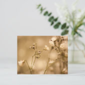 Wilde Blume mit warmer Sepia-Tone-Postkarte geschl Postkarte (Stehend Vorderseite)
