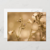 Wilde Blume mit warmer Sepia-Tone-Postkarte geschl Postkarte (Vorne/Hinten)
