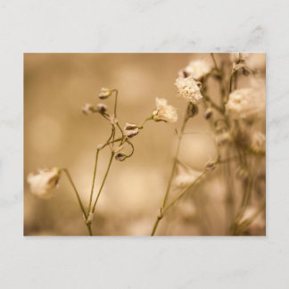 Wilde Blume mit warmer Sepia-Tone-Postkarte geschl Postkarte