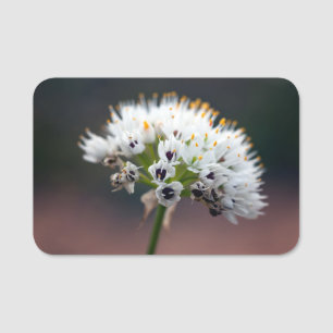 Wilde Blume Namensschild