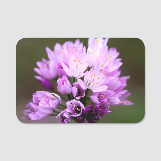 Wilde Blume Namensschild (Vorderseite)