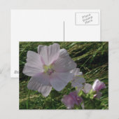 Wilde Blume Nr. 3 | Postkarten (Vorne/Hinten)