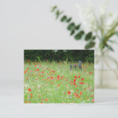 Wilde Blume Poppies Bench DIY Postkarte (Stehend Vorderseite)