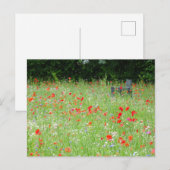 Wilde Blume Poppies Bench DIY Postkarte (Vorne/Hinten)