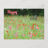 Wilde Blume Poppies Bench Happy Birthday Postcard