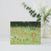 Wilde Blume Poppies Bench HELLO Postkarte (Stehend Vorderseite)