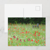 Wilde Blume Poppies Bench HELLO Postkarte (Vorne/Hinten)