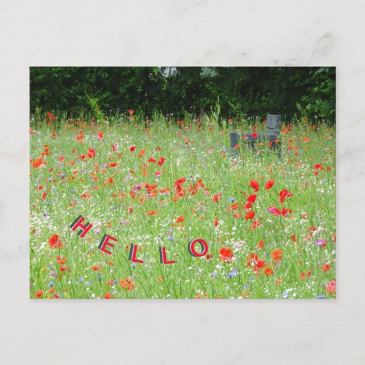 Wilde Blume Poppies Bench HELLO Postkarte (Vorderseite)