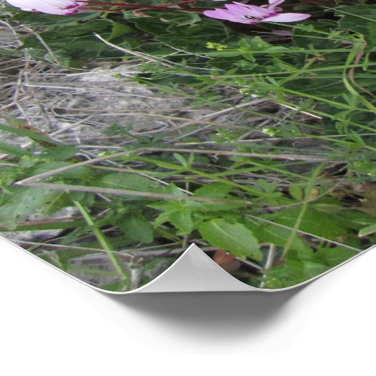 Wilde Blume Poster (Ecke)