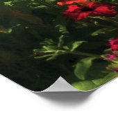 Wilde Blume Poster (Ecke)