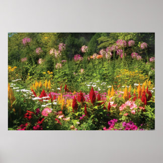 Wilde Blume Poster