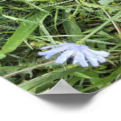 Wilde Blume Poster (Ecke)