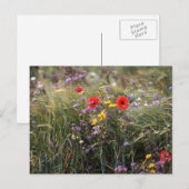 Wilde Blume Postkarte (Vorne/Hinten)