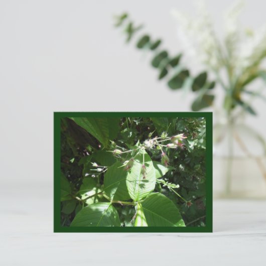 Wilde Blume Postkarte (Stehend Vorderseite)