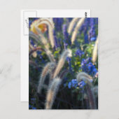 Wilde Blume Postkarte (Vorne/Hinten)