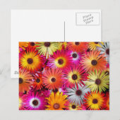 wilde Blume Postkarte (Vorne/Hinten)