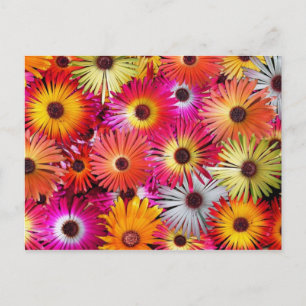 wilde Blume Postkarte