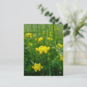 wilde Blume Postkarte (Stehend Vorderseite)