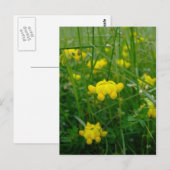wilde Blume Postkarte (Vorne/Hinten)