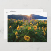 Wilde Blume Postkarte (Vorne/Hinten)