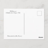 Wilde Blume Postkarte (Rückseite)