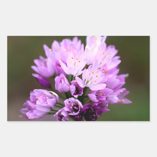 Wilde Blume Rechteckiger Aufkleber (Vorderseite)