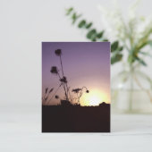 Wilde Blume Sunset Postcard Postkarte (Stehend Vorderseite)