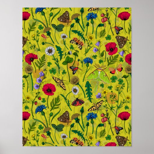 Wilde Blume und Motten 2 Poster (Vorne)