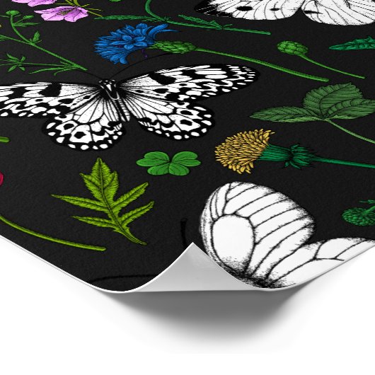 Wilde Blume und Schmetterlinge 2 Poster (Ecke)