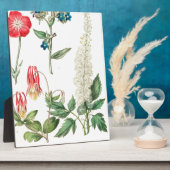 Wilde Blume Vintag Botanische Schrift Fotoplatte (Seite)