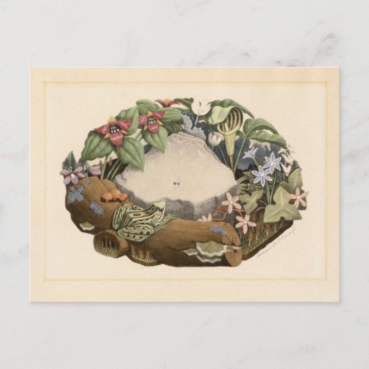 Wilde Blume von Grant Wood Postkarte (Vorderseite)