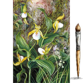 Wilde Blume von Simla, Indien, von Marianne North Seidenpapier