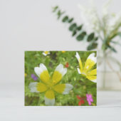 Wilde Blume: White Yellow DIY Postcard Postkarte (Stehend Vorderseite)
