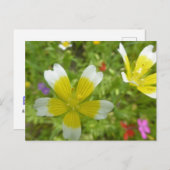 Wilde Blume: White Yellow DIY Postcard Postkarte (Vorne/Hinten)